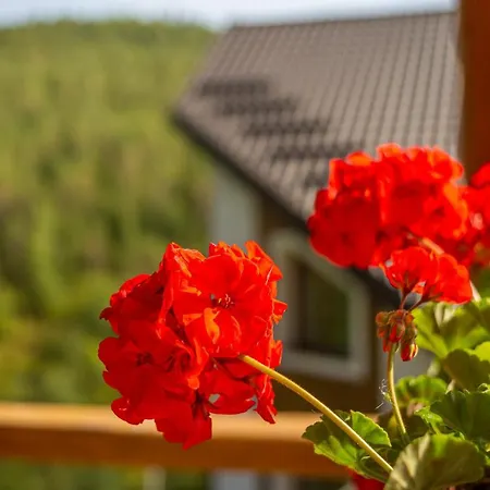 Konopka Guest house *